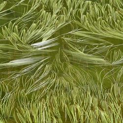 2019-08 Savoie/La Tuile/DSC_1604.JPG